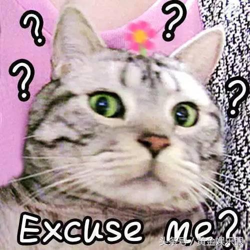 17岁出道红极一时,17岁出道24岁一夜爆红