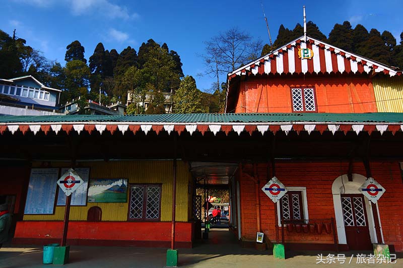 印度大吉岭红茶有几个品牌,印度大吉岭红茶品种