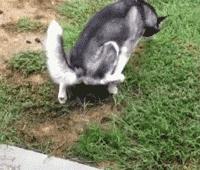 咽口水强迫症,总是想咽口水强迫症