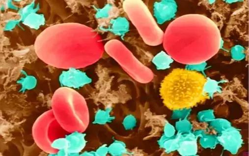 癌症早期治疗器械,最新治疗癌症的方法