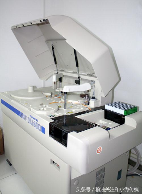 最新白糖进口关税政策,详细介绍白糖进口关税情况详解