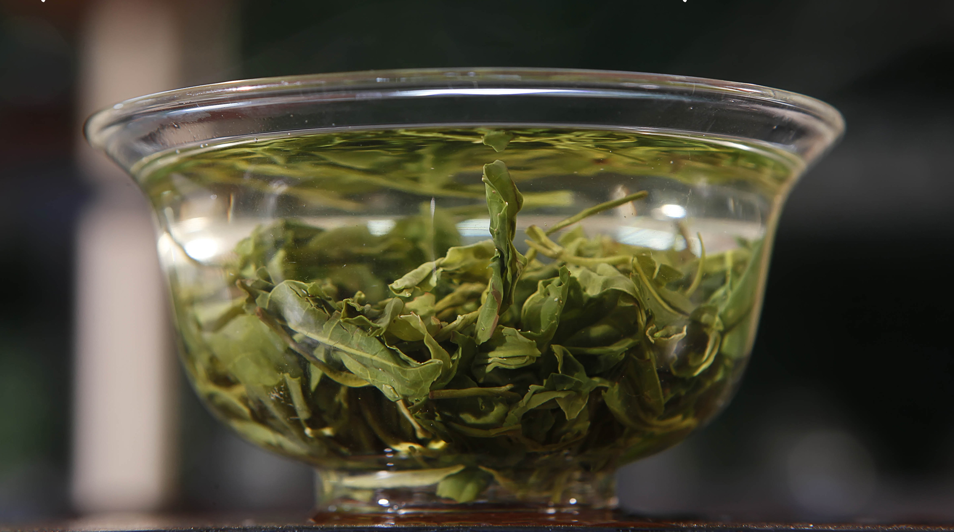 崂山绿茶海上第一名山,长在哪里的崂山绿茶最好