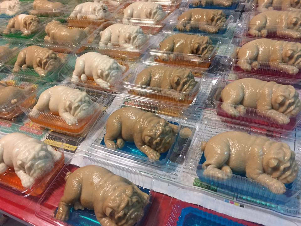 果冻沙皮狗,沙皮狗牛奶果冻