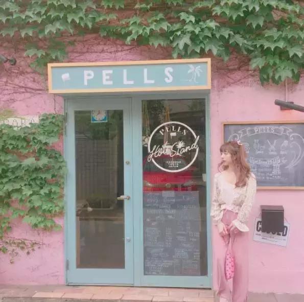 日本10大樱花,日本10大樱花动漫