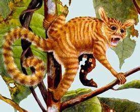 谈古论晋：为*山何**西这个县城的人被周边称之为“垣曲猴”？