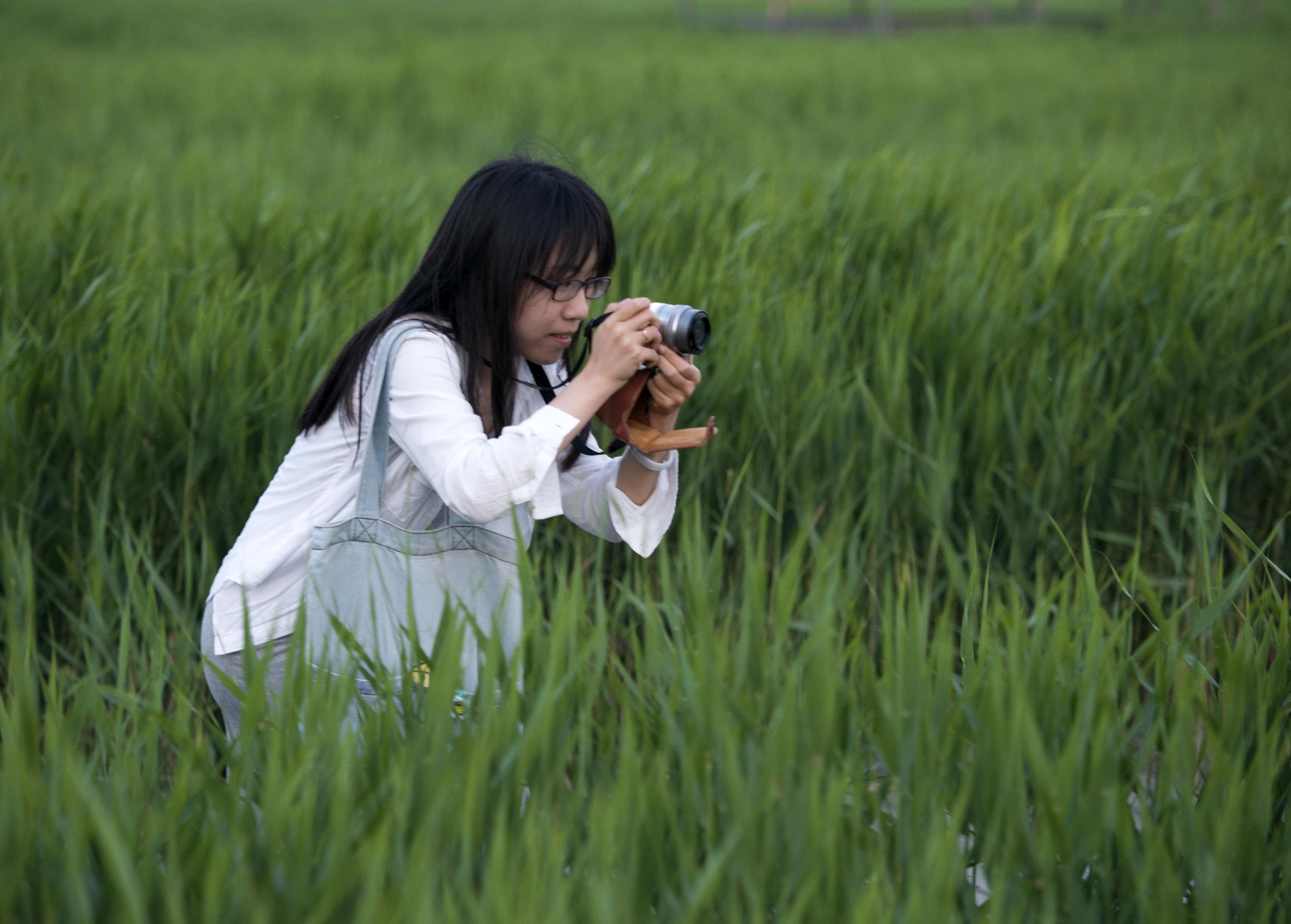 曹妃甸曹妃事件,曹妃甸区曹妃
