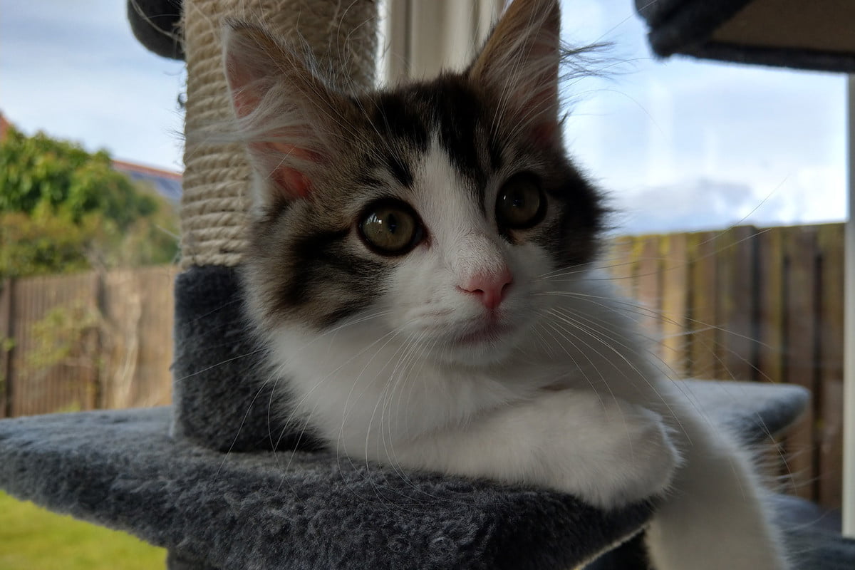 日版htcu11详细参数,htcu11plus深度评测