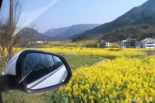 关关谢童打卡篁岭,关关和谢童去婺源是哪一集