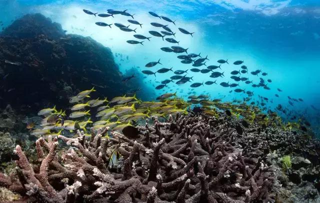 巴厘岛浪漫的海岛,巴厘岛爱情迷宫旅游攻略