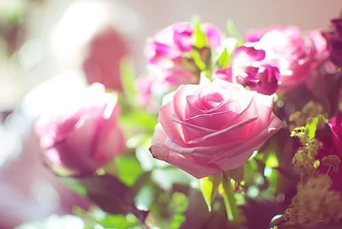 发朋友圈人生语句,看透了人生发朋友圈的句子