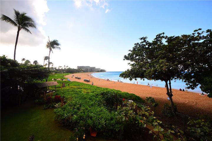 骨灰级探险视频,水上运动场夏威夷maui岛浮潜