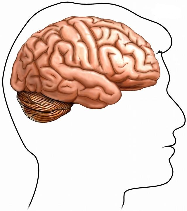 脑梗了，还能恢复健康吗？