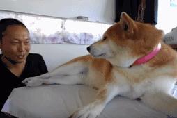 大姐惊人的手速图片,大姐手速