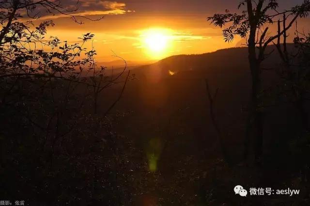 晨曦——一抹金黄下的初生