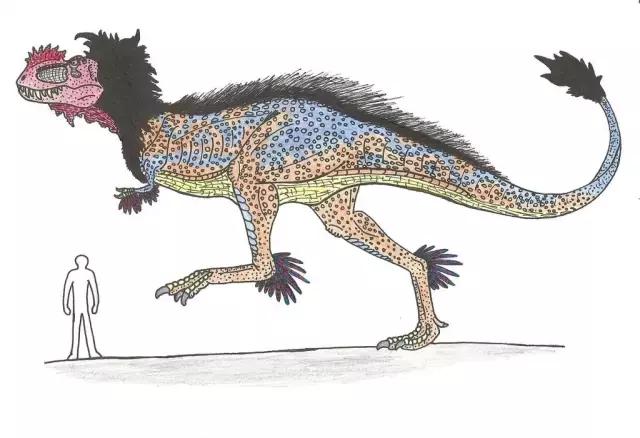 霸王龙体型,霸王龙真的长一身羽毛和厚嘴唇吗