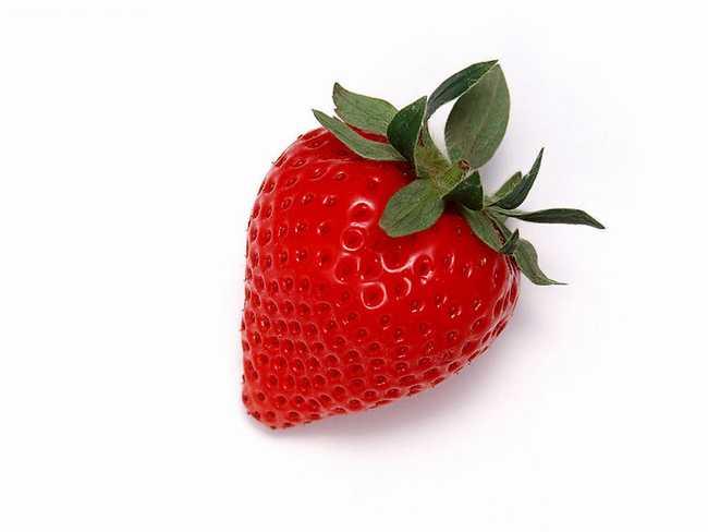 含维生素b6维生素b12的食物和水果,富含维生素e的十大水果