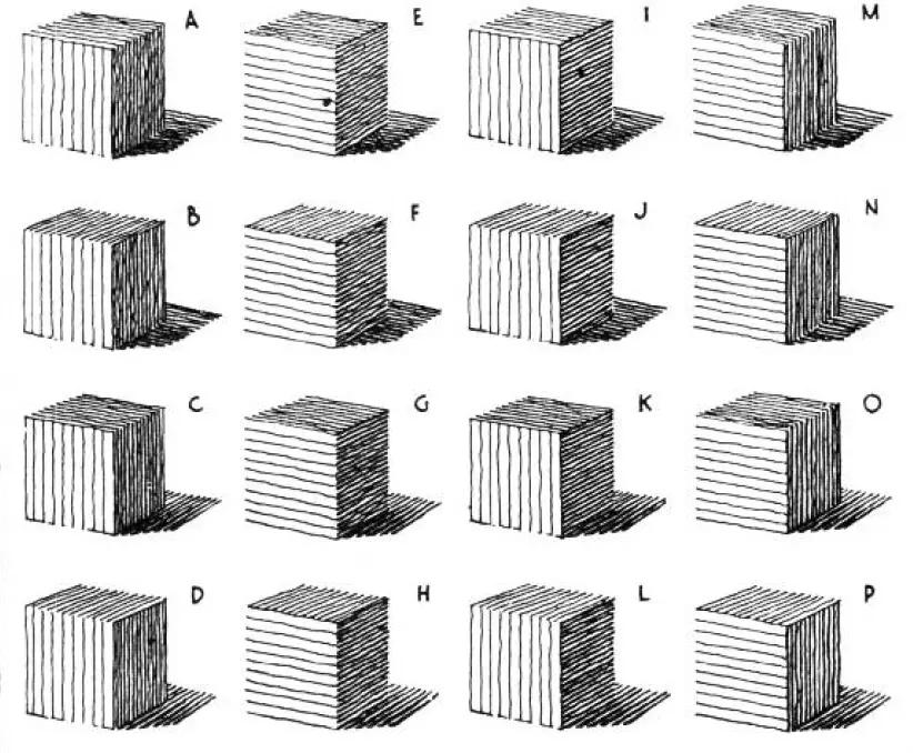 绘画基础教程新手入门,绘画基础教程人物小狗