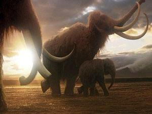 龙珠里的万能胶囊,龙珠超未来万能胶囊