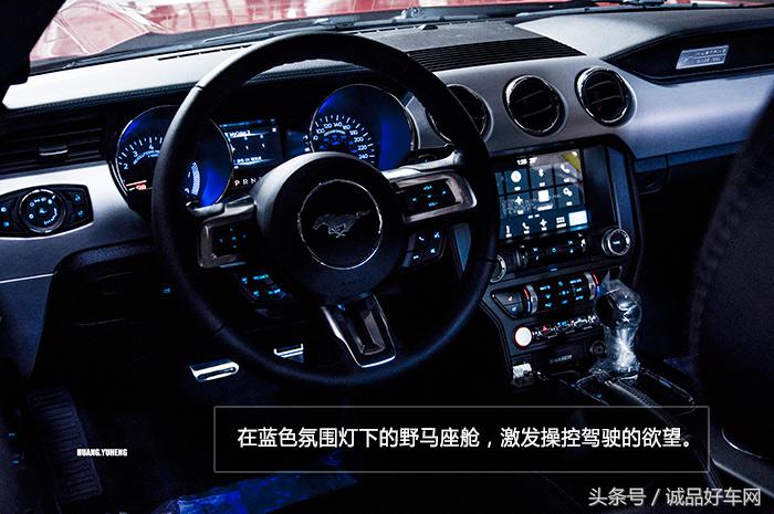 没有奔跑在草原的野马，成了男人心口的朱砂痣