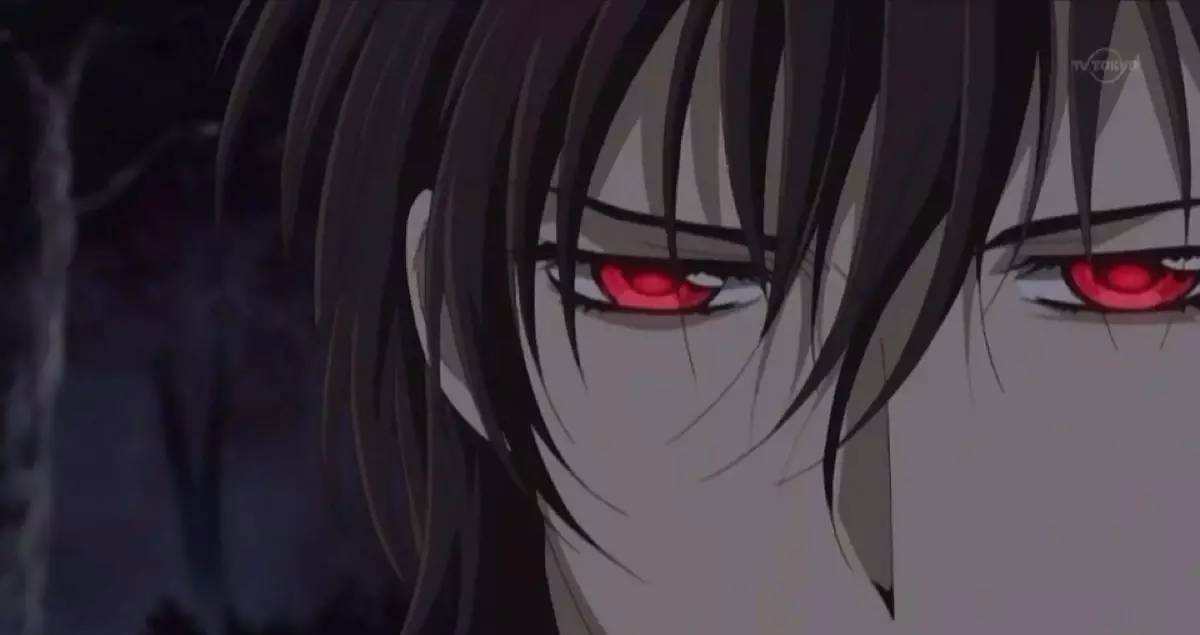 《吸血鬼骑士》,羁绊的爱与恨,来自少女心的宣战!