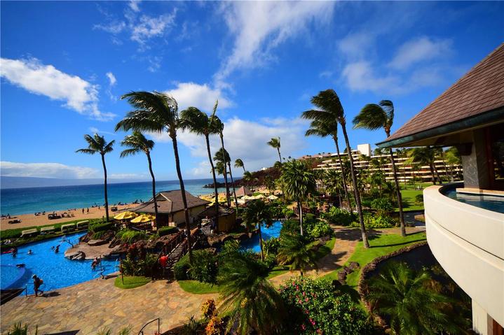 骨灰级探险视频,水上运动场夏威夷maui岛浮潜