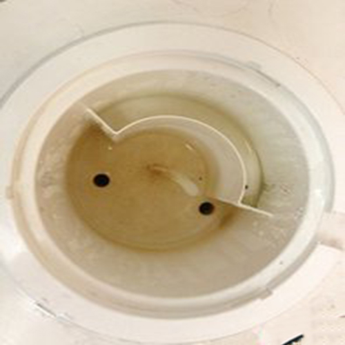 饮水机脏了如何洗才比较干净,饮水机太脏如何清理