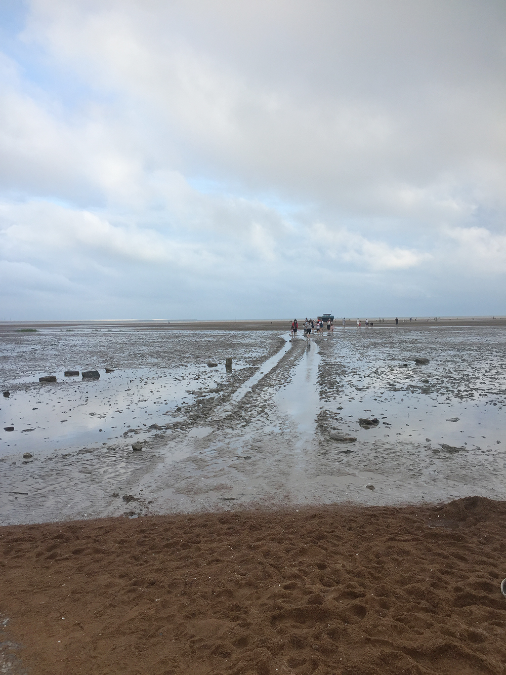 经典海鲜摄影图片,鲜活海鲜摄影技巧