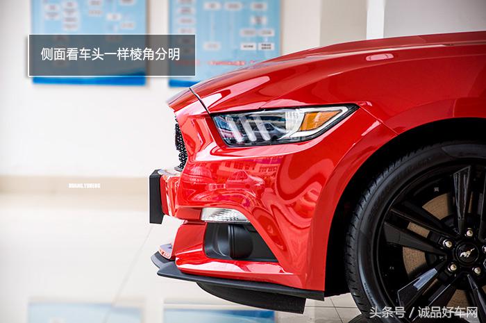 没有奔跑在草原的野马，成了男人心口的朱砂痣