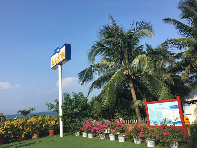 三亚自由行合集,闺蜜游记三亚自由行