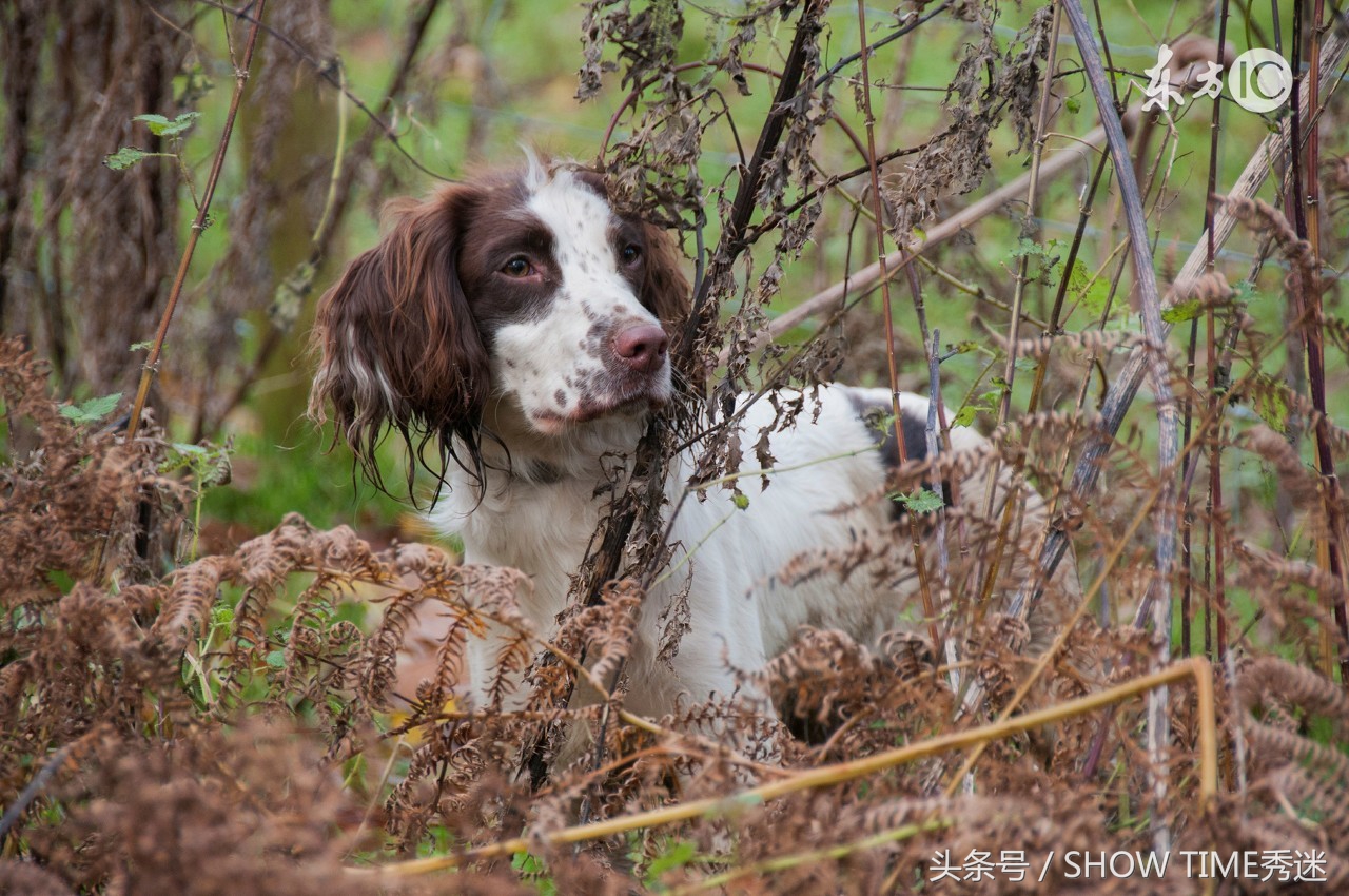 经销商与厂家产品纠纷维权,经销商纠纷持续发酵