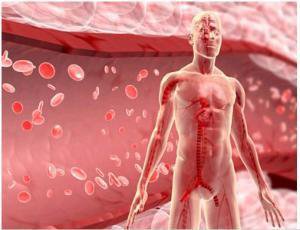 尿毒症透析患者，如何治疗贫血？