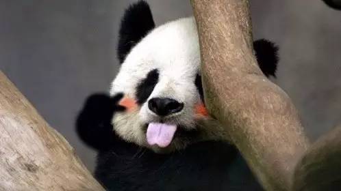 画眼线老是花怎么办,画眼线容易晕怎么办