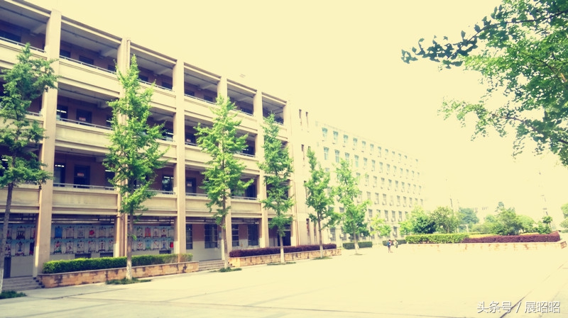 合肥中科大附属中学在哪,合肥中科大附属中学是公立学校吗