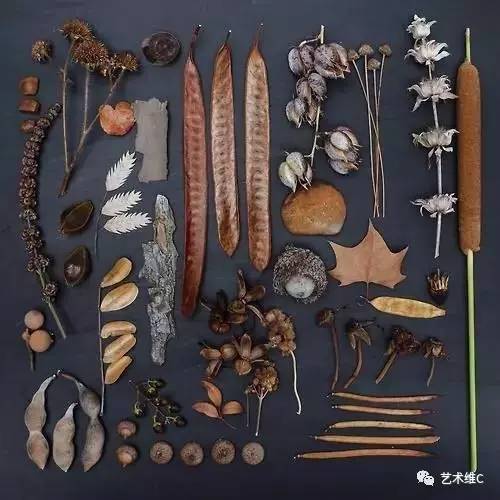 大英博物馆柜子,大英博物馆家具是什么