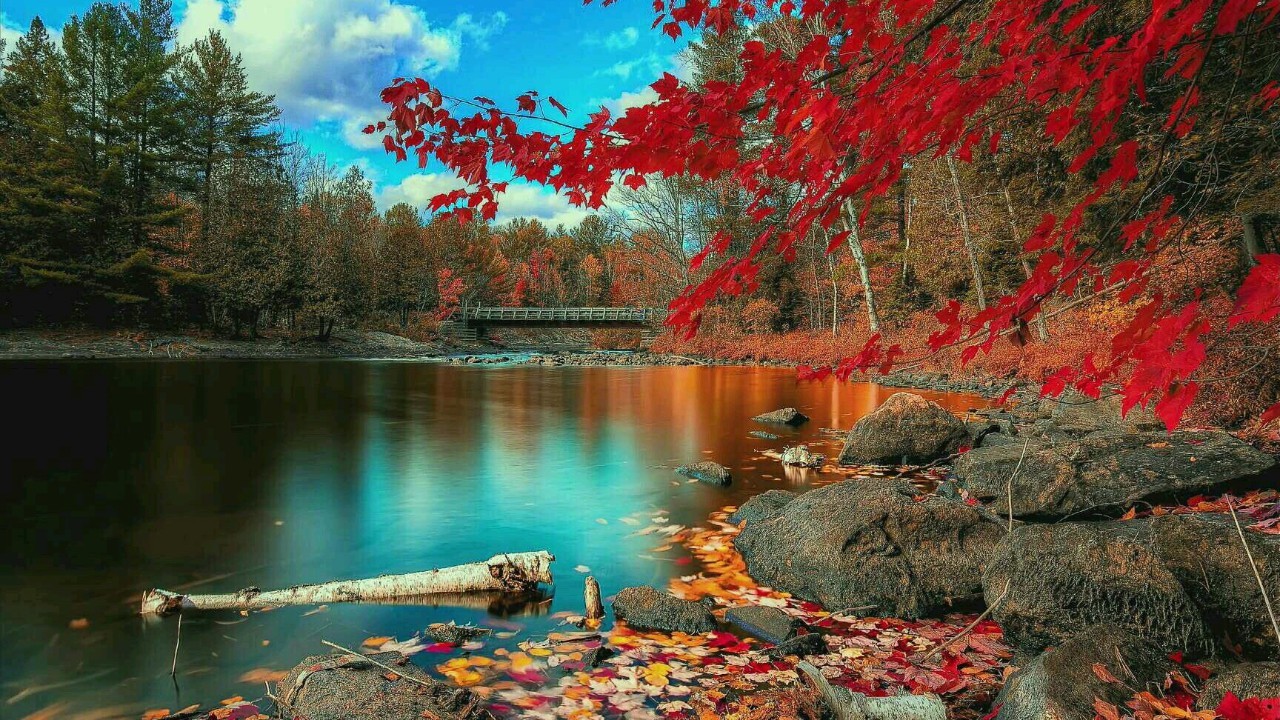 海信智慧屏电视86寸,海信电视ec880怎么样