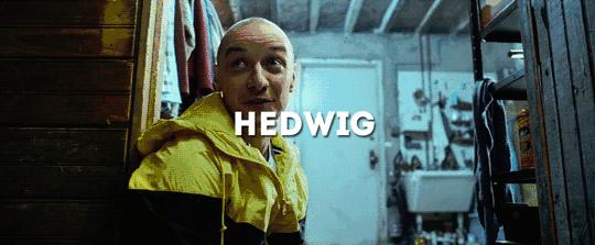 根据真实事件改编，24重人格大叔绑架少女案