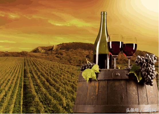 吃葡萄籽真的能美白抗衰老吗,吃葡萄籽到底能不能美白