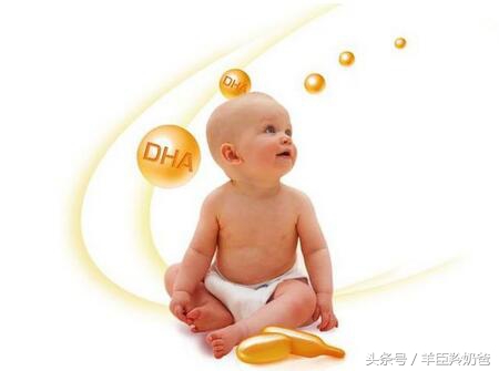 dha吃了真的可以让宝宝变聪明吗,dha吃了真的能让宝宝变聪明吗