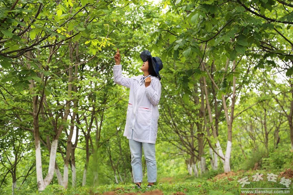 天水乡村田园风景图,天水农村自然美景