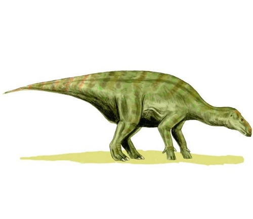 恐龙危机恐龙种类,恐龙介绍恐龙百科全书