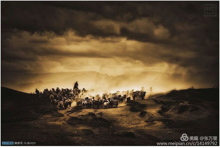 美丽*疆新**100张——美在雪山，美在草原，美在戈壁，美在心灵！