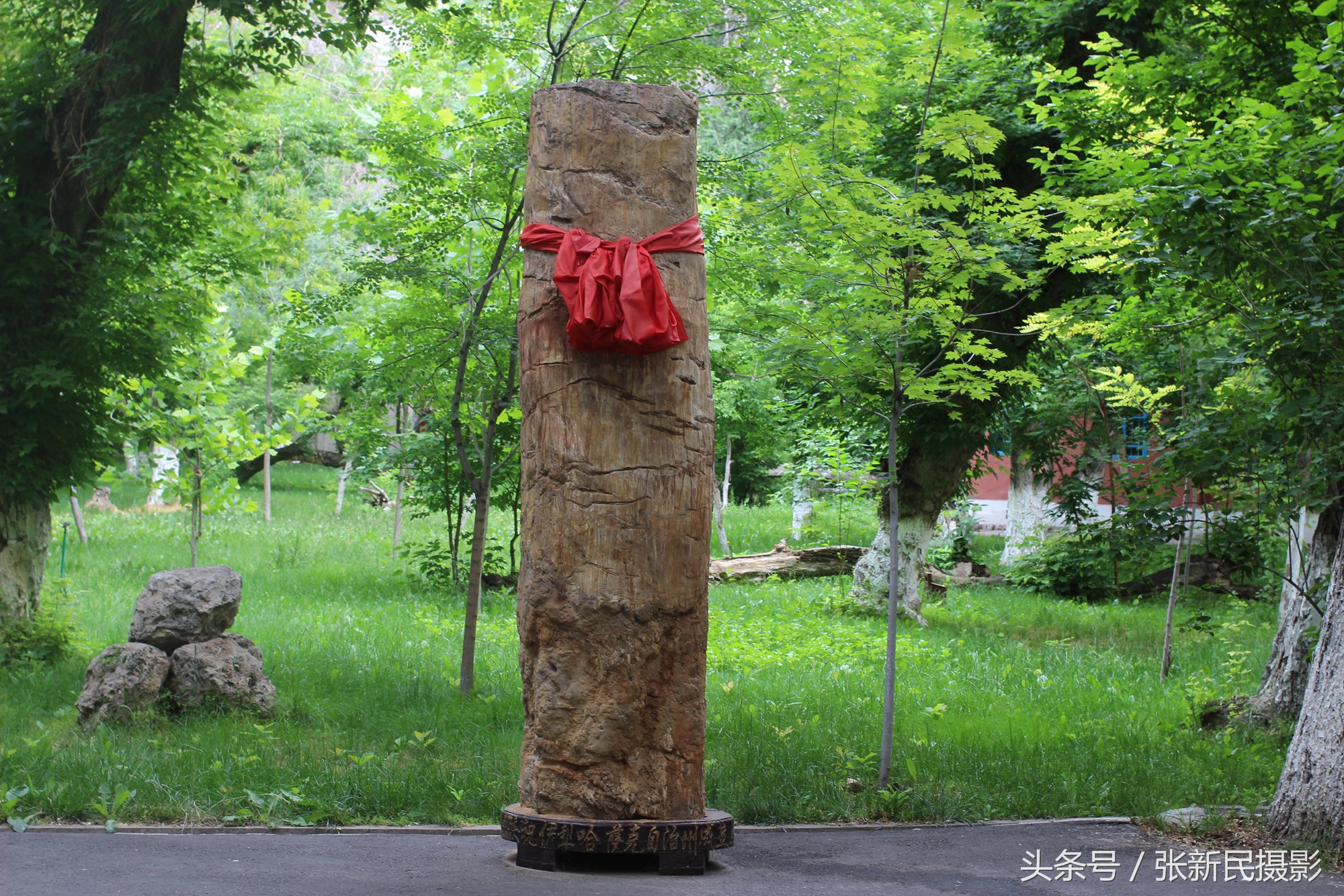 百年俄罗斯建筑保存完好白杨茂盛