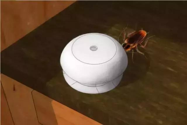 小苏打灭蟑螂最快方法,灭蟑螂最有效方法