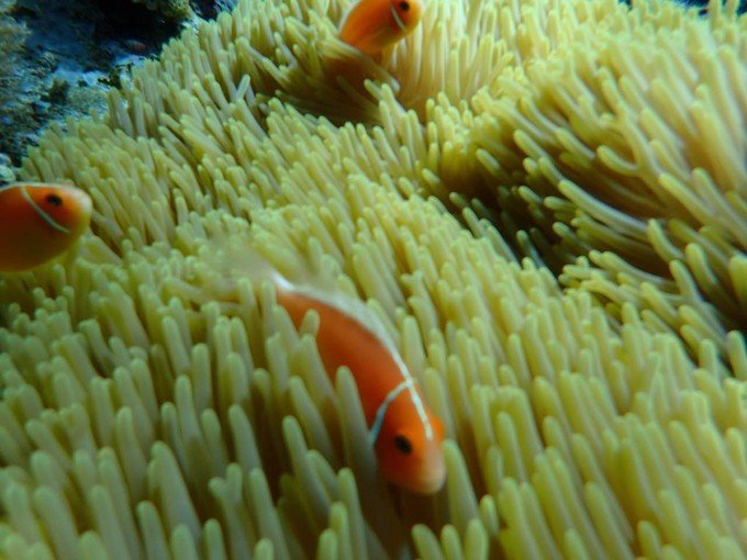 带着思念去海边,带着思念期待下一次再见