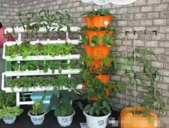 pvc管阳台无土种菜全图解,用pvc管阳台种菜安全吗