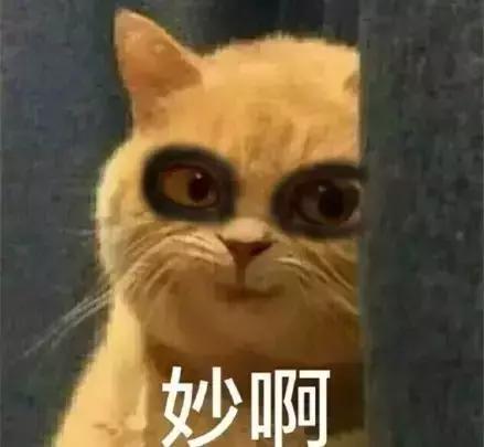 英雄联盟最新版本各位置强势英雄,英雄联盟现版本各位置无脑英雄