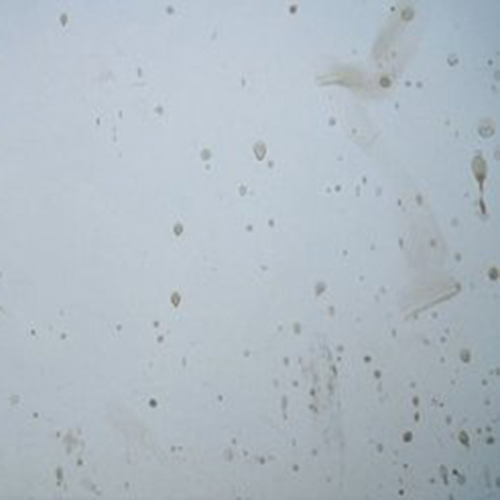 儿童白墙乱画怎么处理,小孩在白墙乱涂乱画怎么弄干净