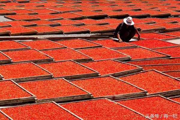 中宁民营经济发展进入西部百强县,中宁生产总值