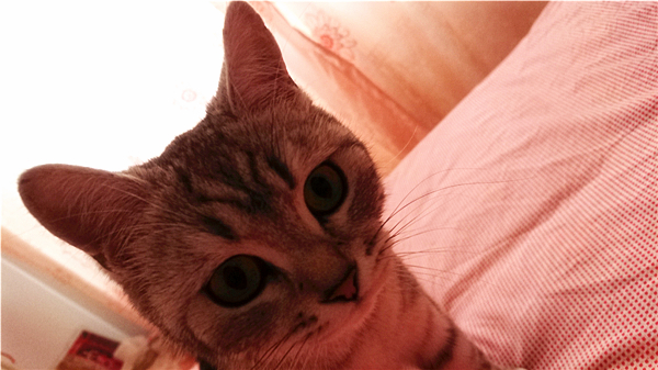 索尼黑科技xperia系列,黑科技满满产品