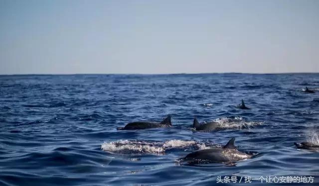 怎样玩遍毛里求斯,到了毛里求斯要怎么玩